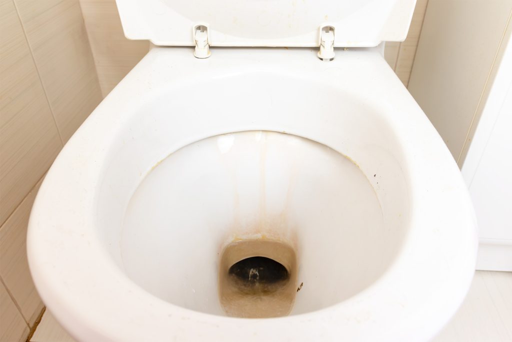 Rust Stains in Your Toilet Bowl