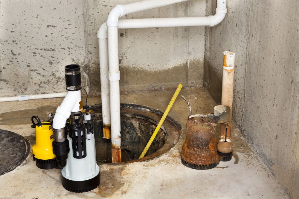 Spotting Water Leaks: Signs, Tips, and When to Call a Plumber