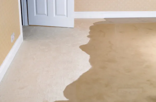 How Moisture Under Floors Signals Plumbing Problems