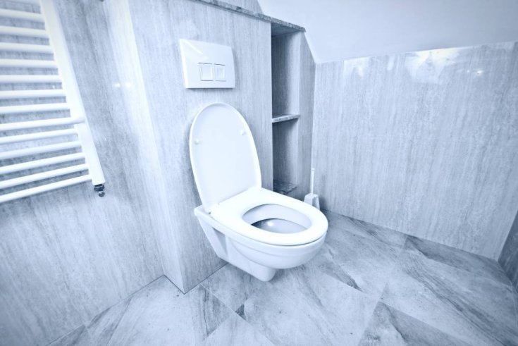 Does a Dual-Flush Toilet Clog Less?