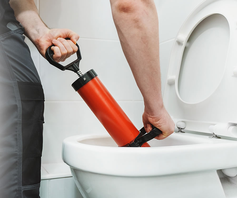 Clogged Toilet Repair in Arcadia